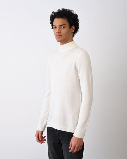 Turtleneck Knit Sweater