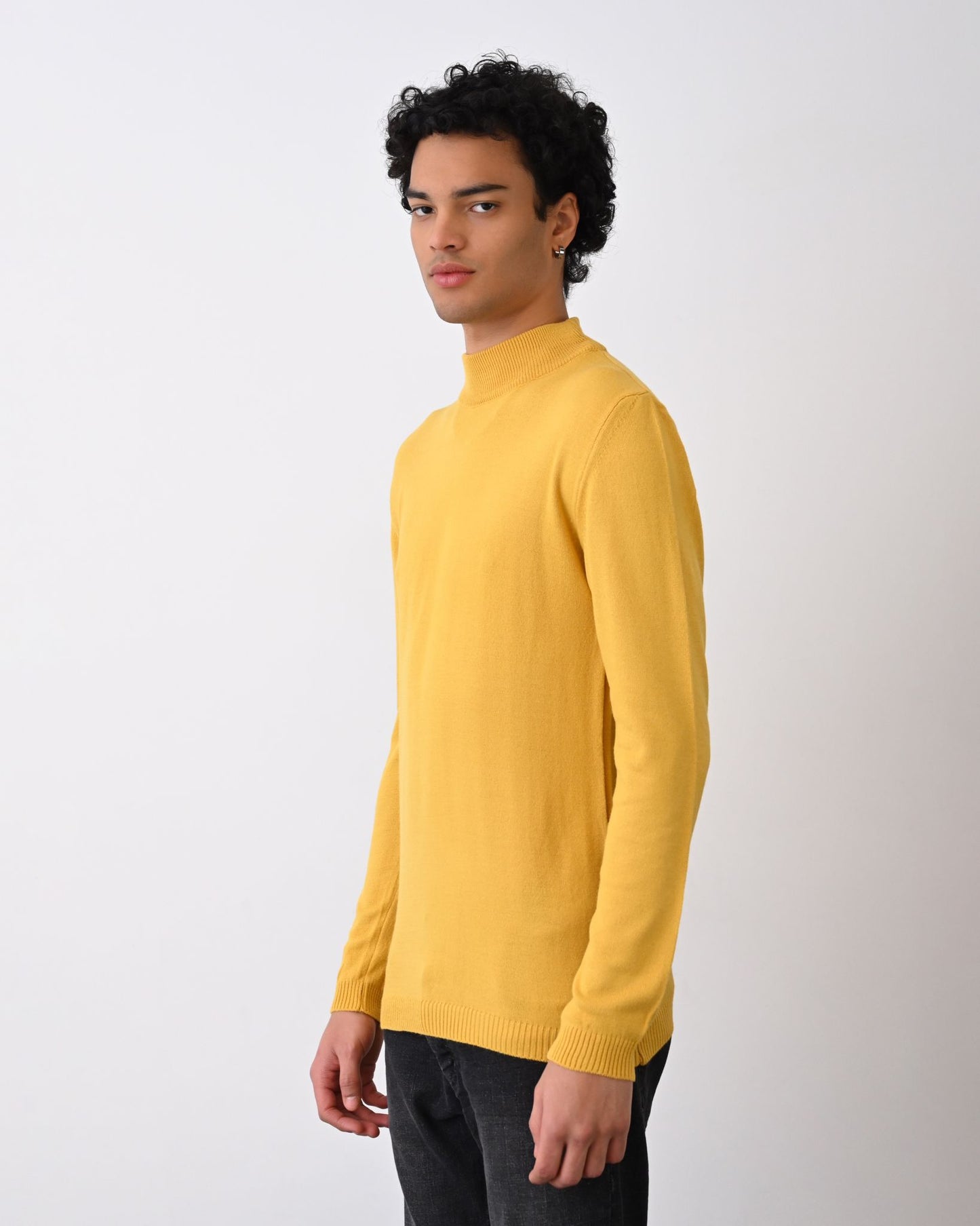 Turtleneck Knit Sweater