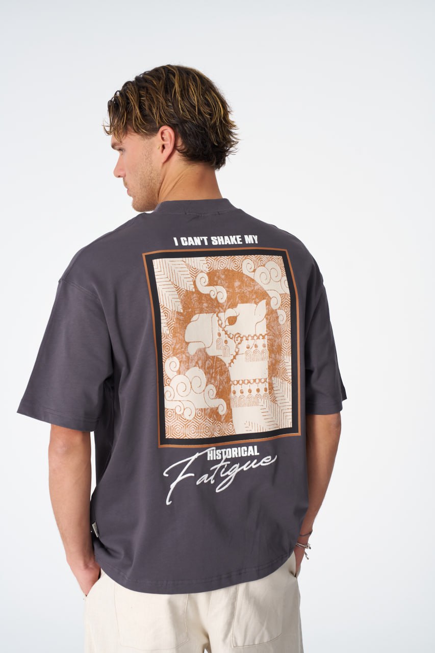 Oversize Cotton Tee / "Historical Fatigue" Framed Scene Graphic Print