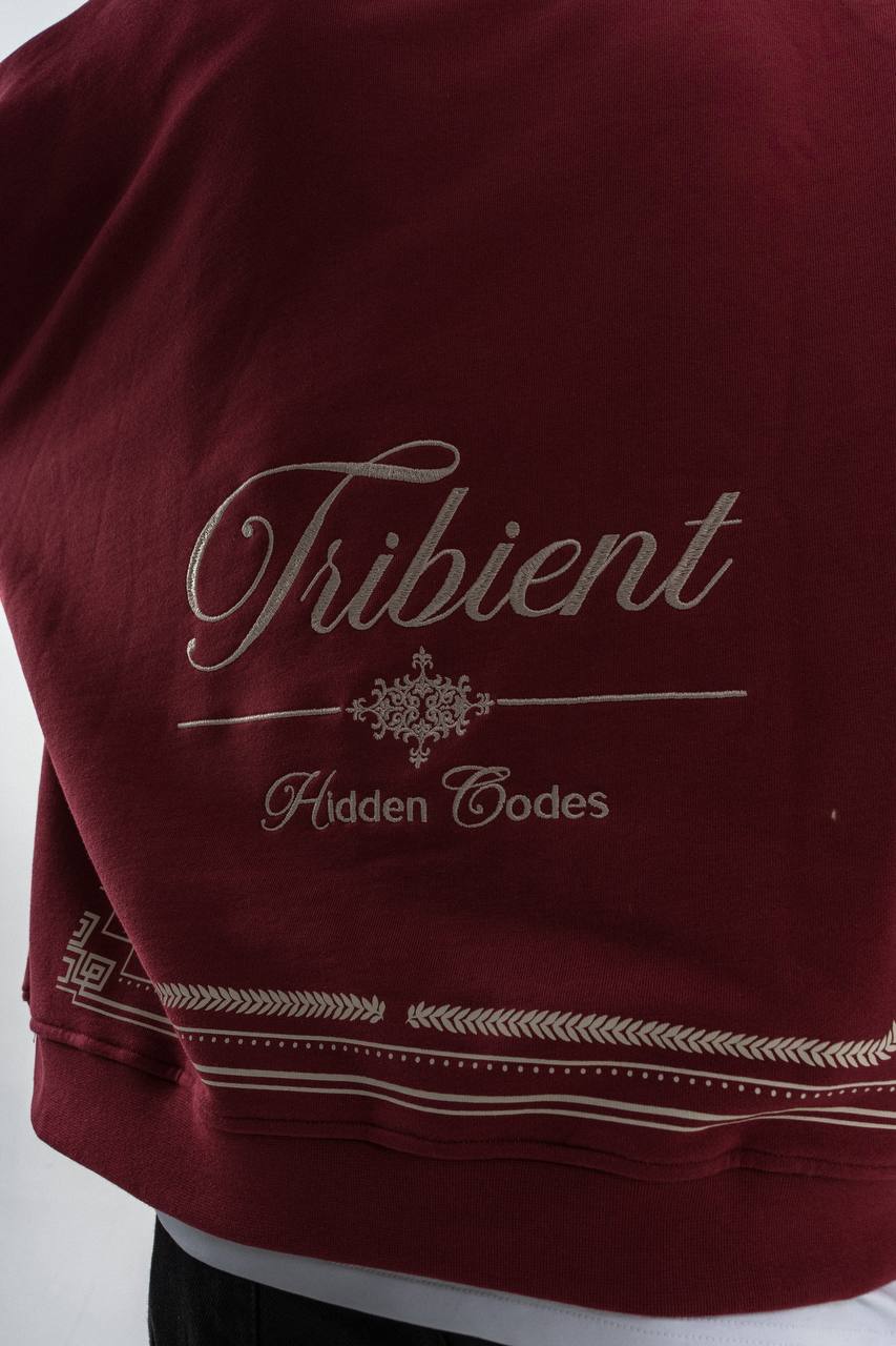 Tribient Hidden Codes Embroidered Hoodie – Unisex Streetwear