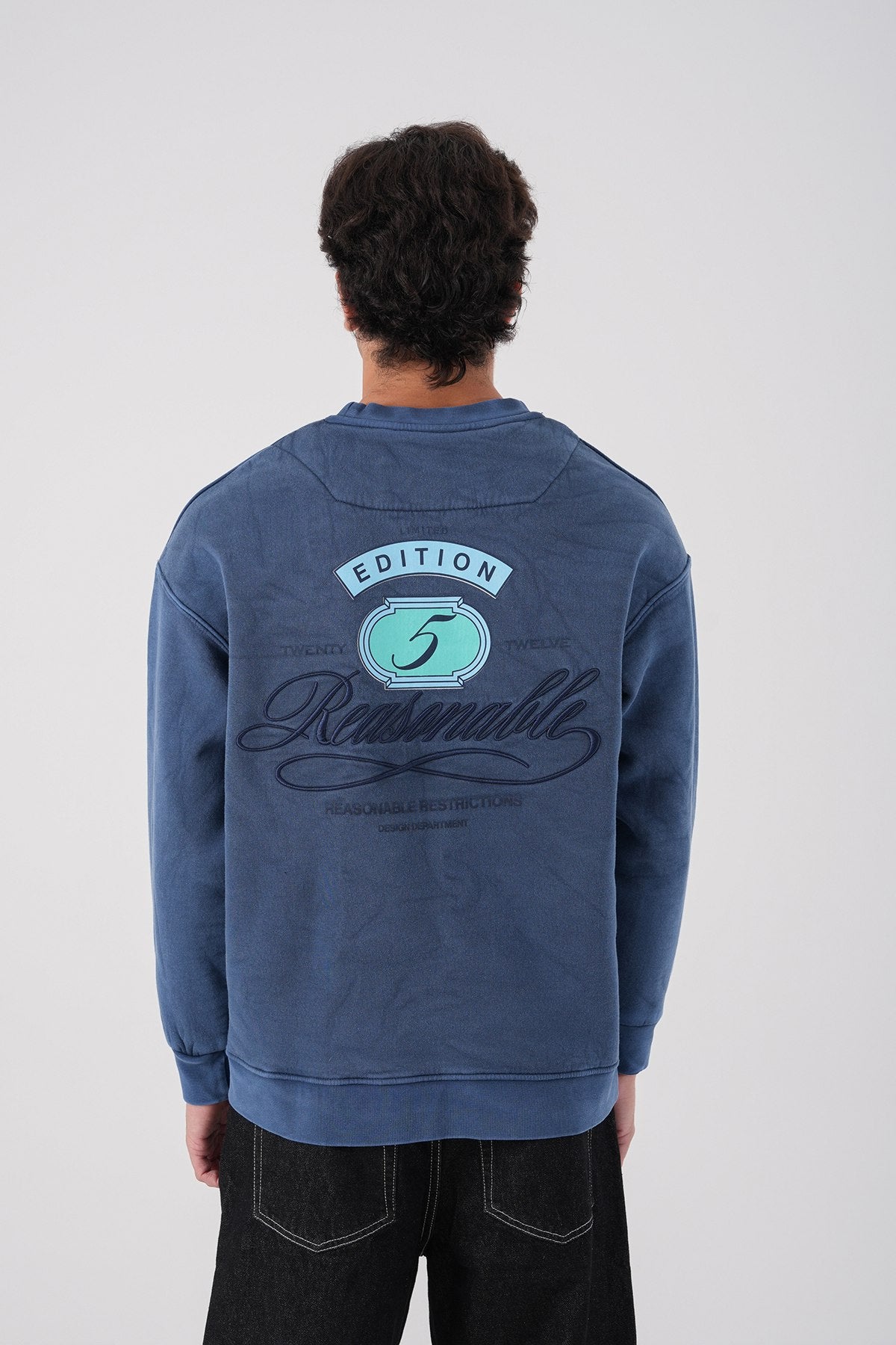 Unisex Washed Graphic Sweatshirt – "Reasonable" Back Print