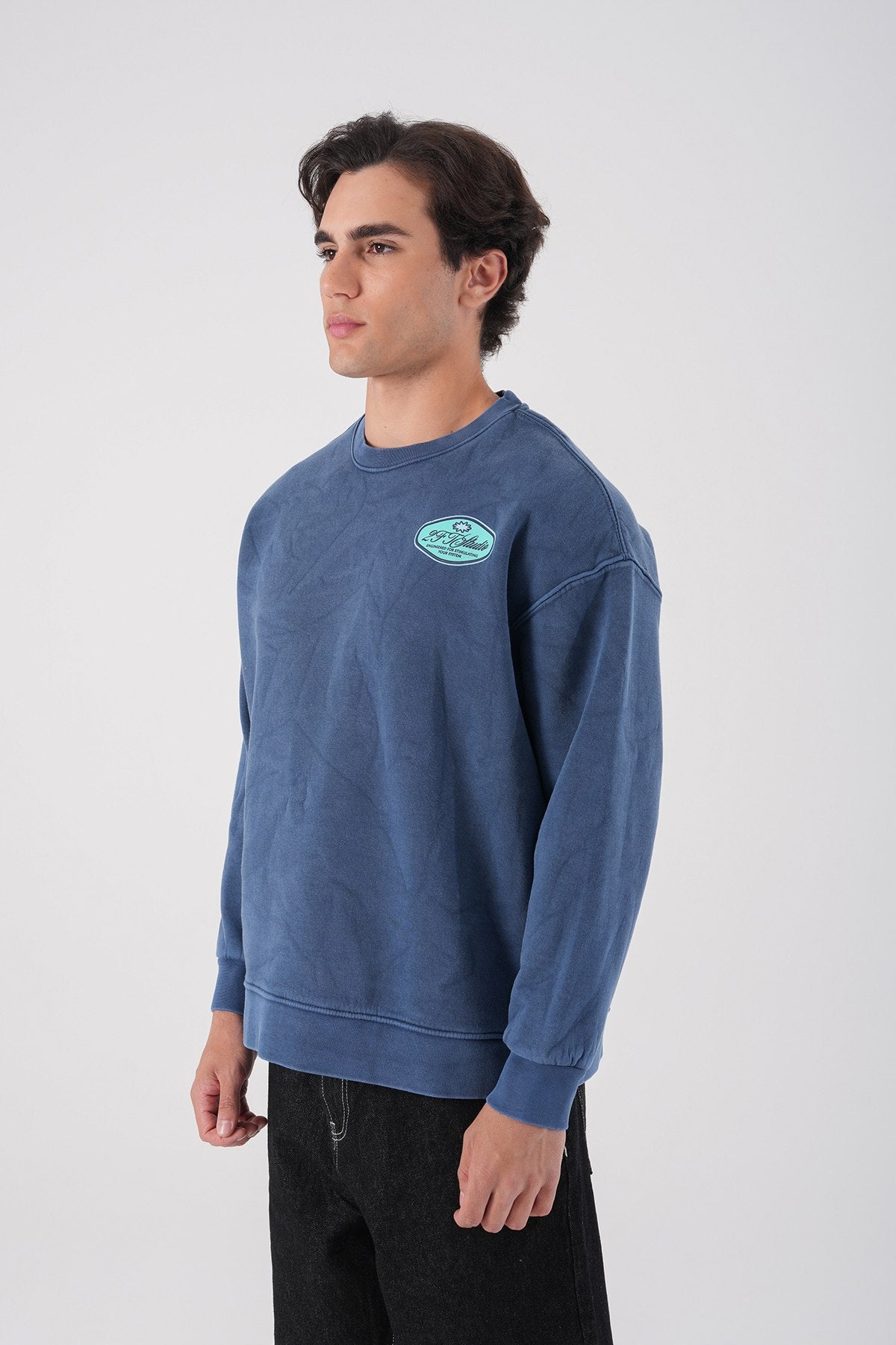 Unisex Washed Graphic Sweatshirt – "Reasonable" Back Print