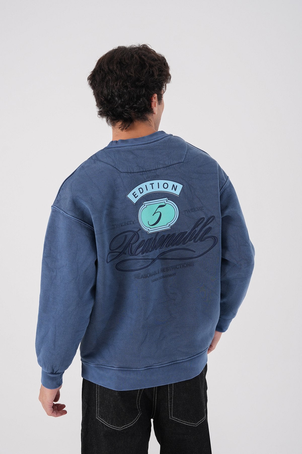 Unisex Washed Graphic Sweatshirt – "Reasonable" Back Print