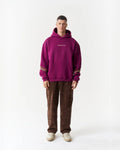 Evolution Gold Art Panel Oversized Hoodie in plum, photo 1