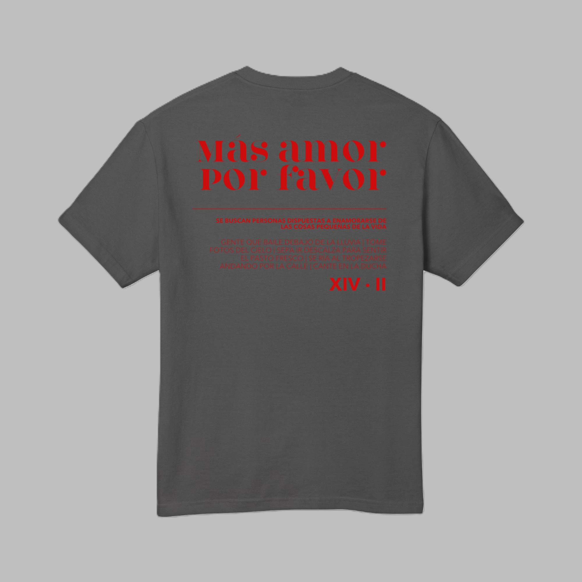 Back view of men's faded black heavyweight garment-dyed t-shirt featuring red Spanish typography print Mas Amor Por Favor