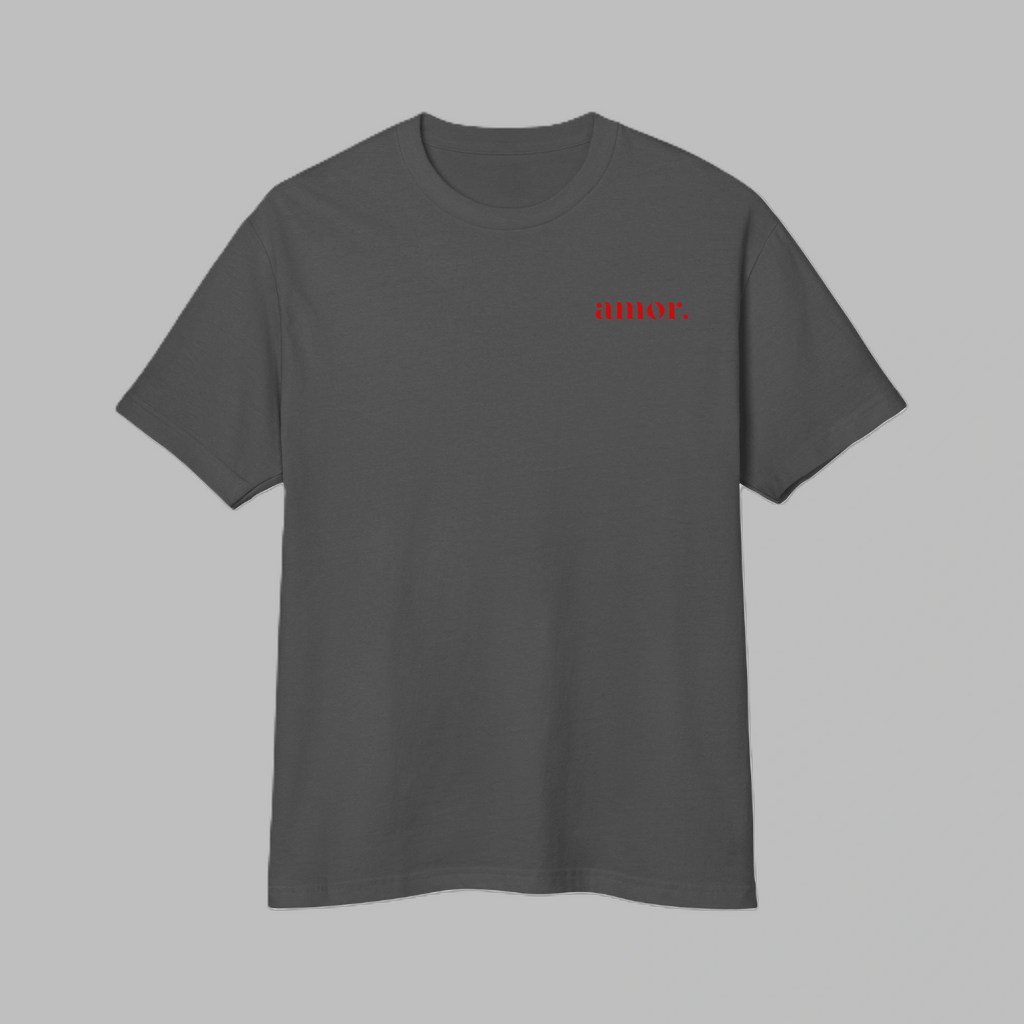 Front view of men's faded black heavyweight garment-dyed t-shirt with small red amor text print on chest