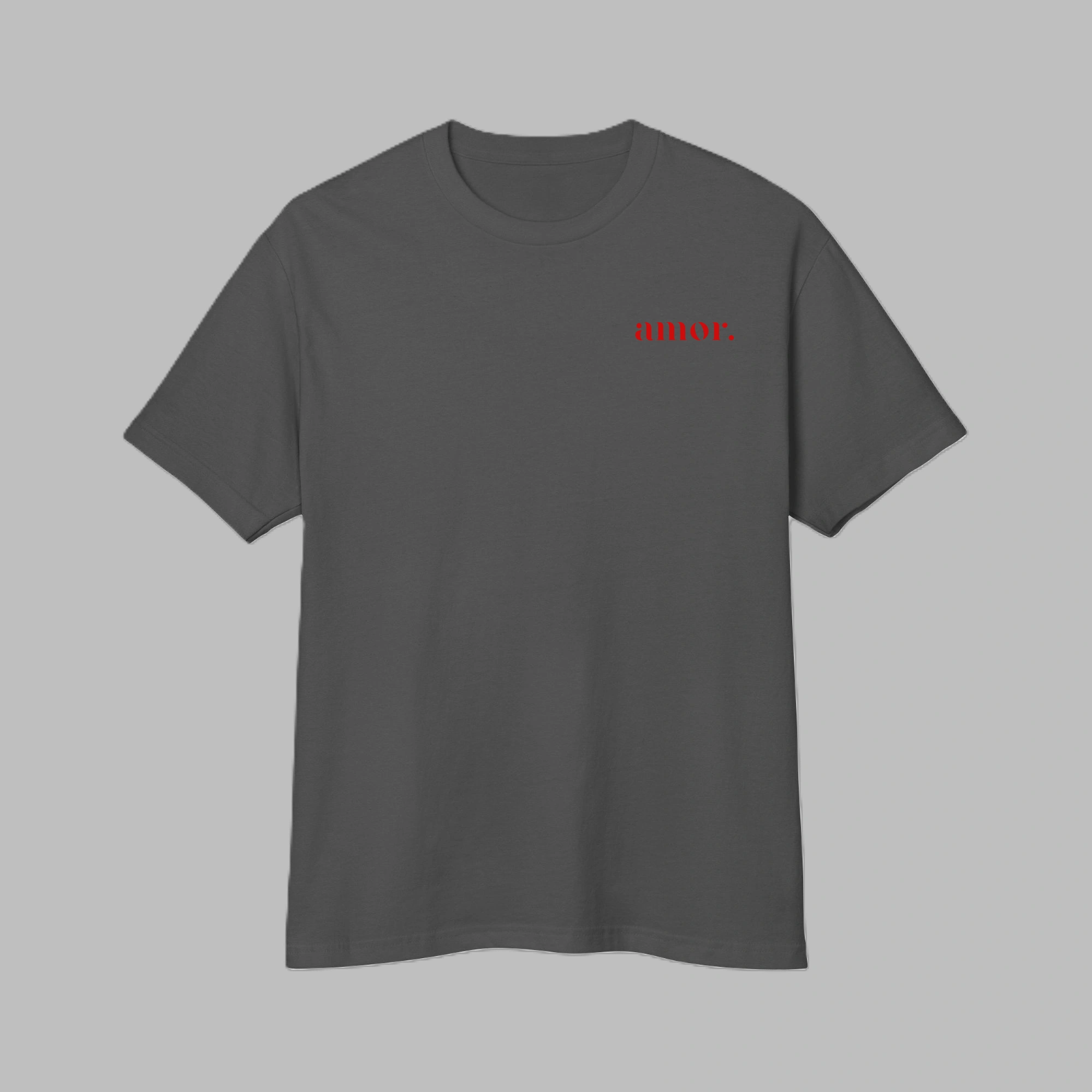 Front view of men's faded black heavyweight garment-dyed t-shirt with small red amor text print on chest