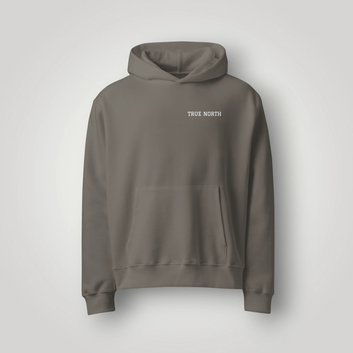 True North Compass Oversized Hoodie