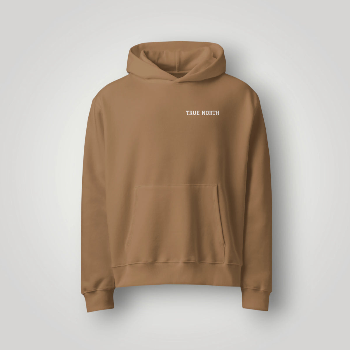True North Compass Oversized Hoodie