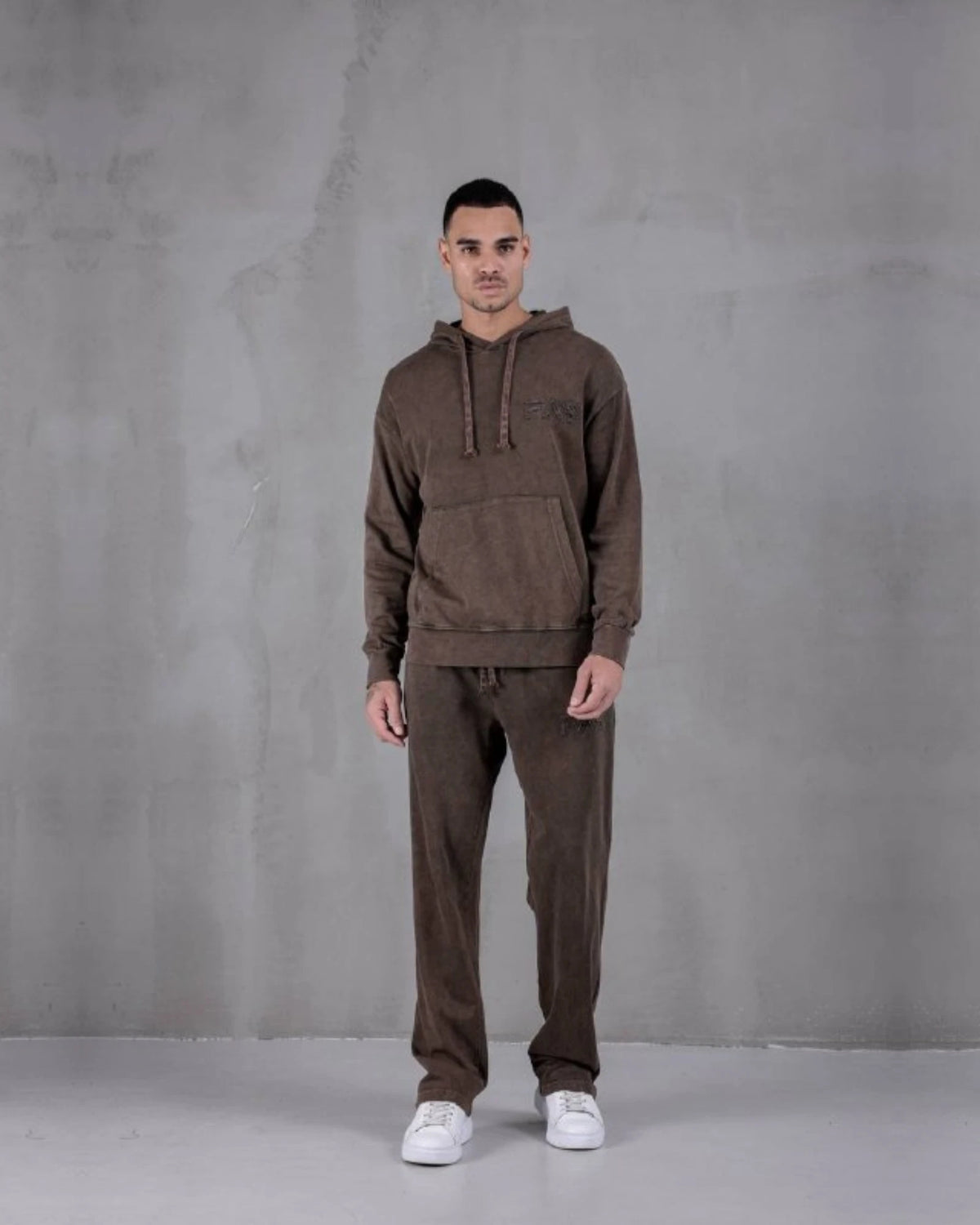 Washed Embroidered Oversized Hoodie in brown, photo 1